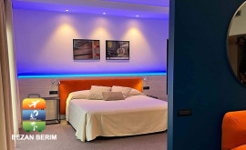 suite13